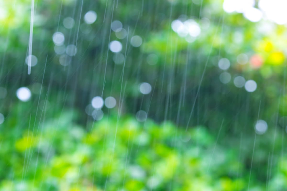 梅雨