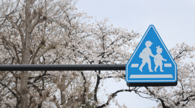 桜と標識