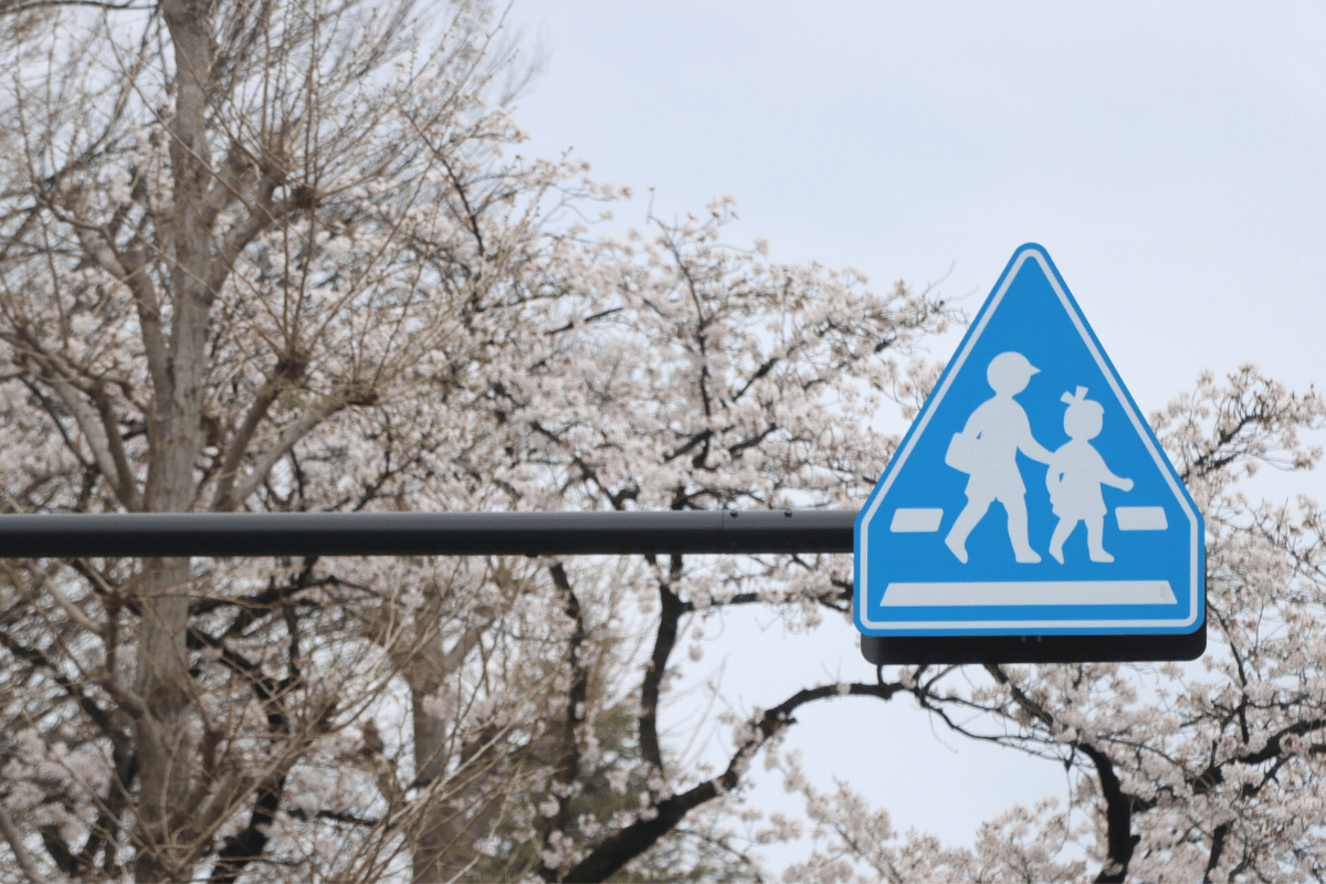 桜と標識